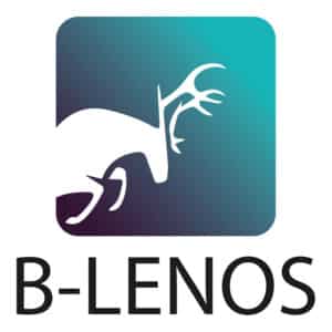 B-Lenos SARL - Nicolas Masoni et Fanny D'Avvocato - Espace Digital - Création du logo